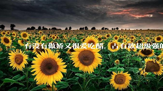 有没有傲娇又很爱吃醋，占有欲超级强的男主？