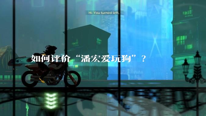 如何评价“潘宏爱玩狗”？
